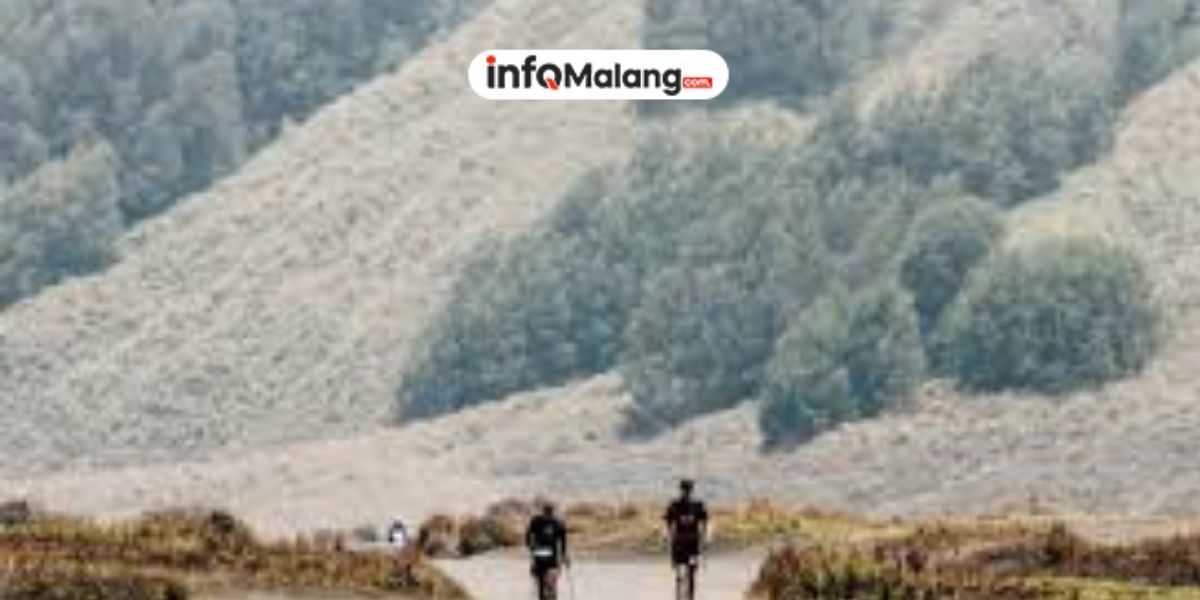 BTS Ultra: Event Trail Running Ekstrem di Gunung Bromo