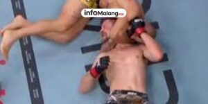 Jurus Kunci The Octagon, Panduan Lengkap Memahami Takedown, Submission, dan Striking dalam Olahraga MMA