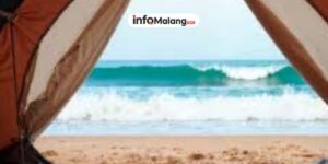 Waspada Gelombang! Tips Camping Aman di Pantai Malang Selatan, Perlengkapan Wajib dan Area Mendirikan Tenda Teraman