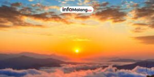 Surga di Atas Awan, 7 Spot Camping Malang dengan View City Light dan Sunrise Terbaik