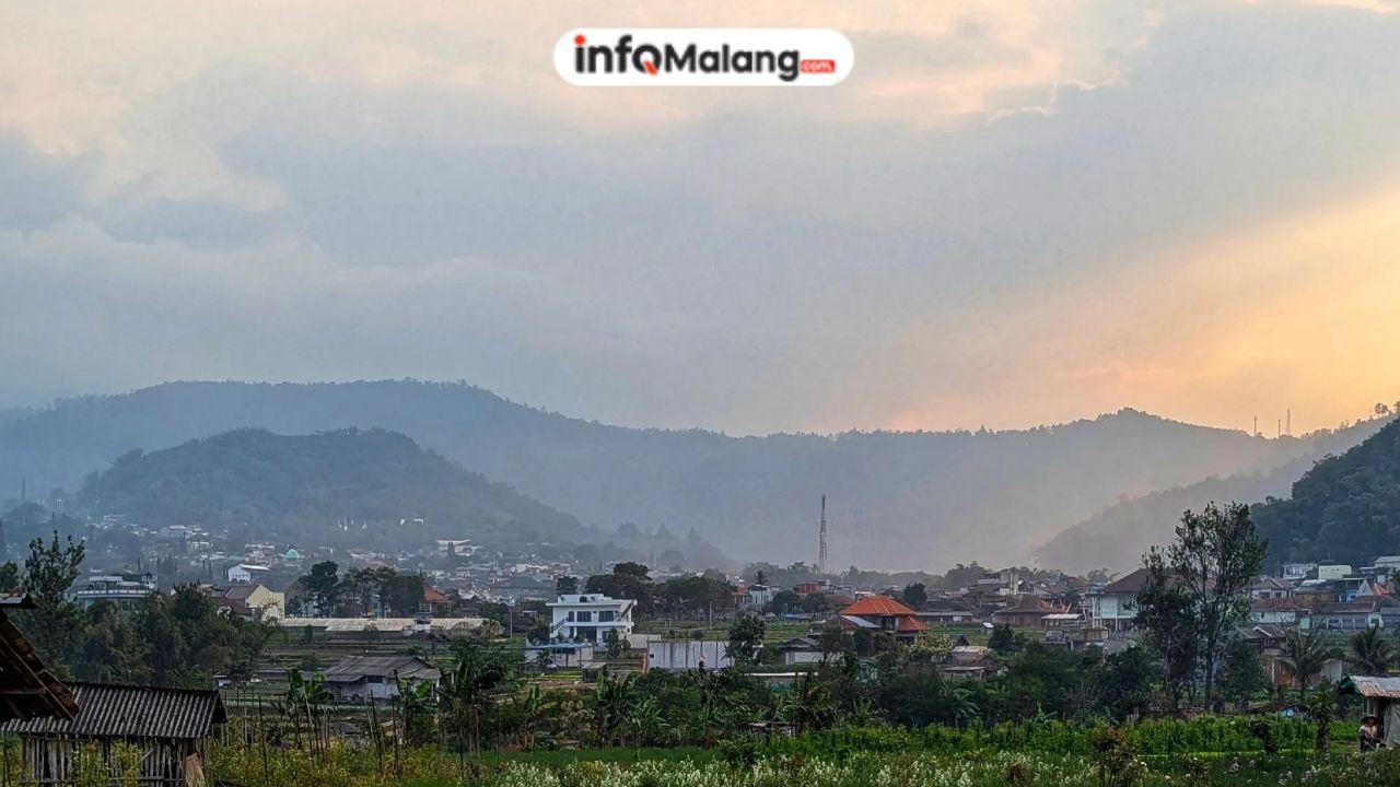 Precet Forest Park, Spot Terbaik untuk Healing, Piknik, dan Menghirup Udara Segar Pegunungan