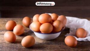 Apa Saja Manfaat Telur Bagi Tubuh yang Wajib Diketahui