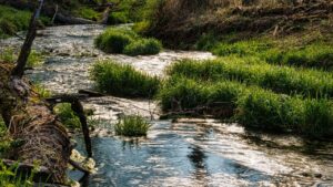 Kronologi Remaja Malang yang Ditemukan Meninggal di Sungai Brantas