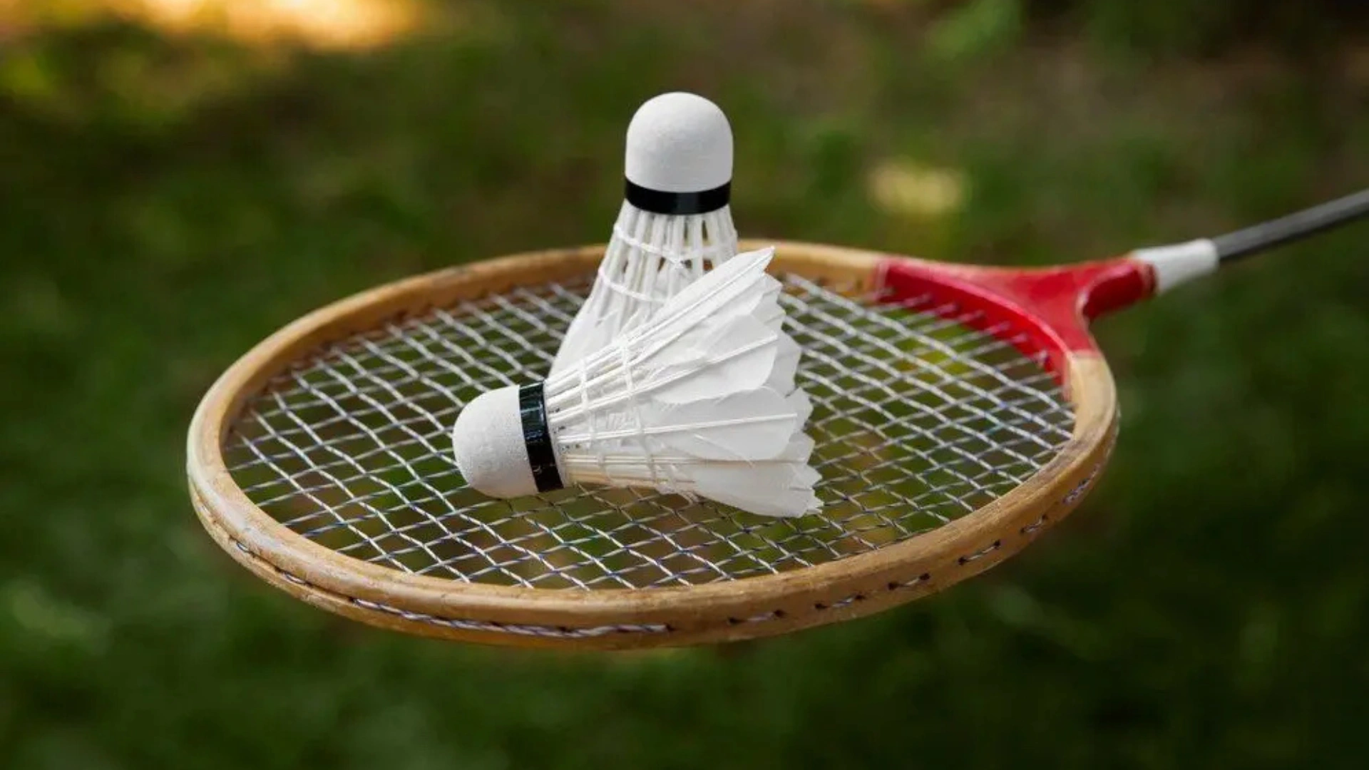 Panduan Pemula, 5 Teknik Pukulan Dasar Bulu Tangkis yang Wajib Dikuasai