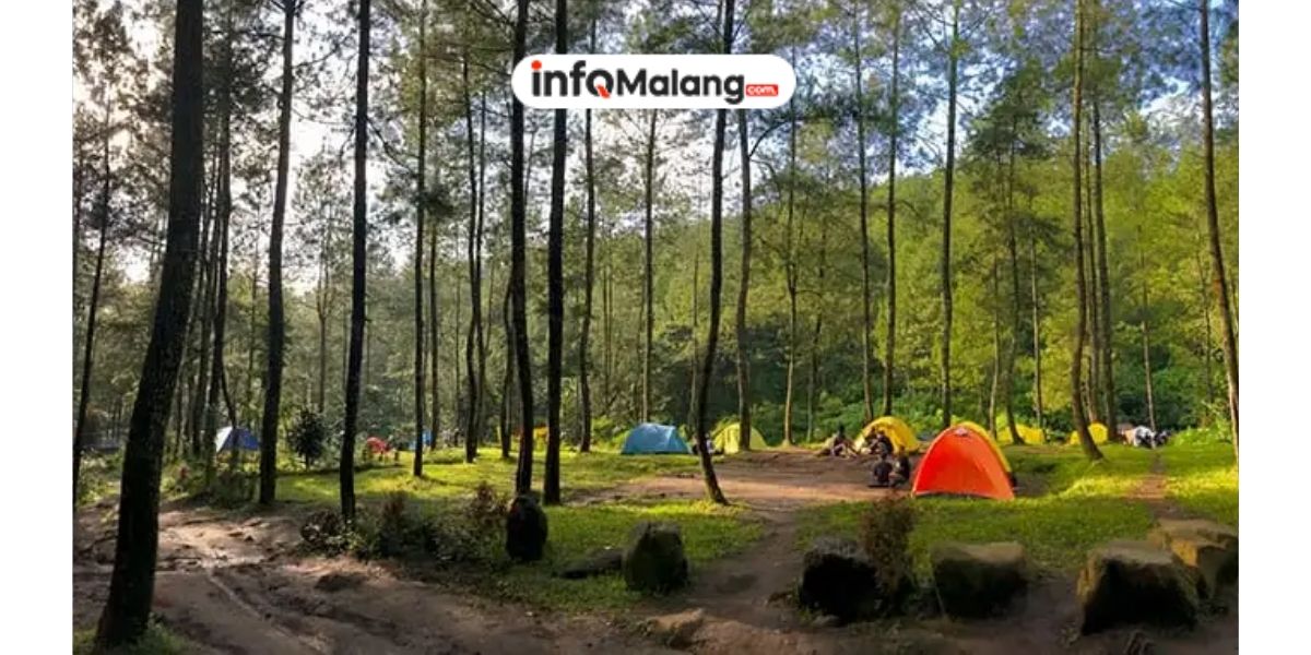 Precet Forest Park, Spot Terbaik untuk Healing, Piknik, dan Menghirup Udara Segar Pegunungan
