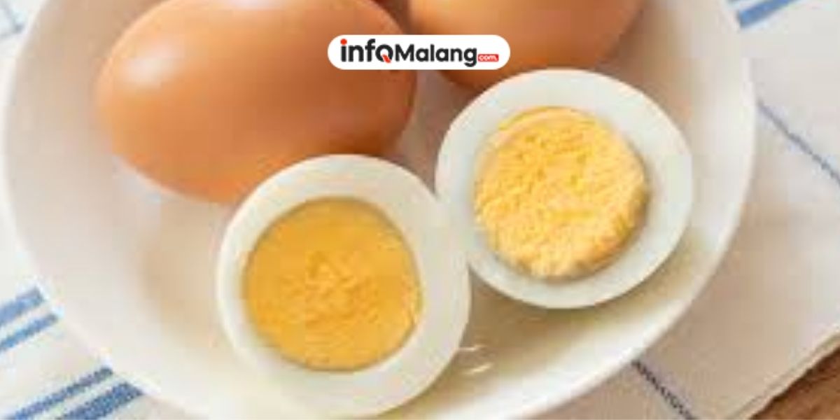 Apa Saja Manfaat Telur Bagi Tubuh yang Wajib Diketahui