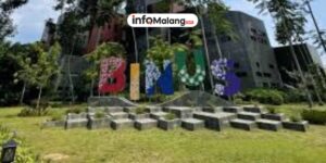 Lulusan BINUS Malang Buktikan Daya Saing di Pasar Kerja Global