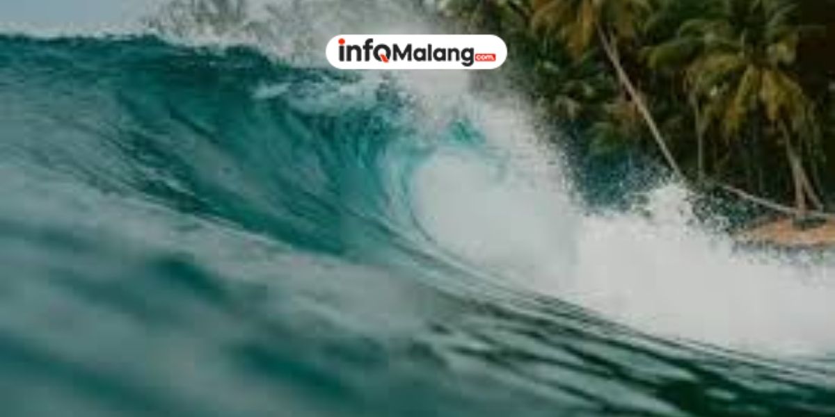 Langkah BPBD Malang Antisipasi Ancaman Gelombang Tinggi di Wilayah Pesisir