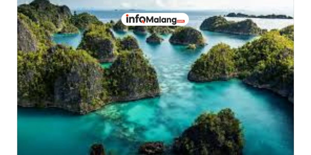 DLH Raja Ampat Dukung Pencapaian Misi Kedua Pemerintah, Tingkatkan Sarana dan Prasarana Kota