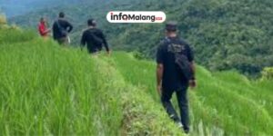 Bukan Sekadar Jalan Kaki, Pengertian Hiking, Perbedaan Utama dengan Trekking, dan Manfaatnya untuk Jantung Sehat