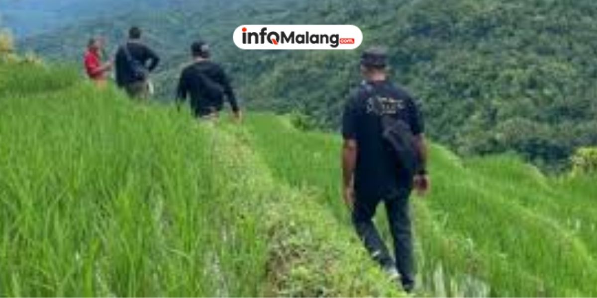 Bukan Sekadar Jalan Kaki, Pengertian Hiking, Perbedaan Utama dengan Trekking, dan Manfaatnya untuk Jantung Sehat