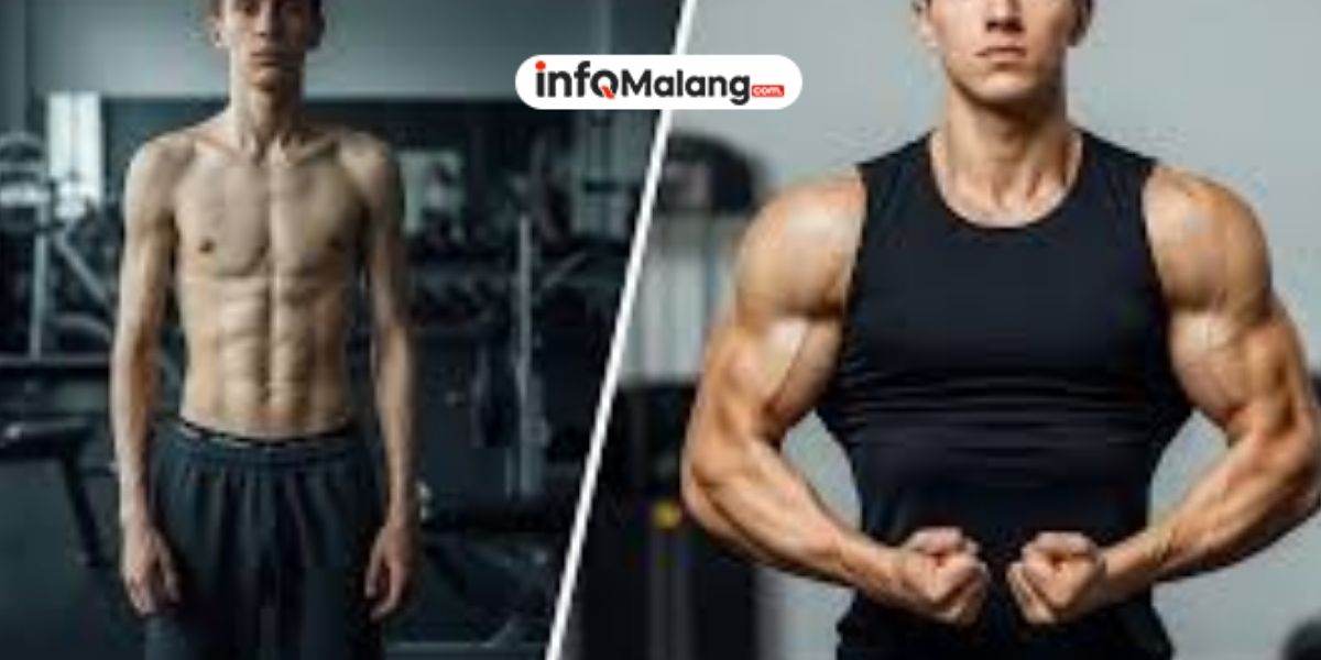 Program Latihan 3x Seminggu Terbaik untuk Bulking Orang Kurus