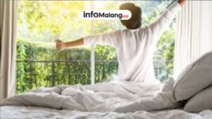 Bangun Lebih Segar! Rutinitas Pagi Simpel yang Bantu Fokus dan Pikiran Lebih Jernih