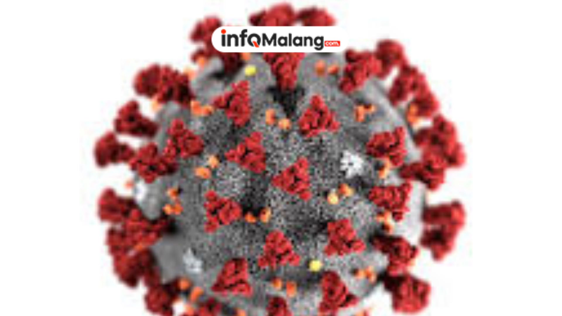 Kasus Super Flu Meningkat di Jatim, Dinkes Kota Malang Siapkan Antisipasi