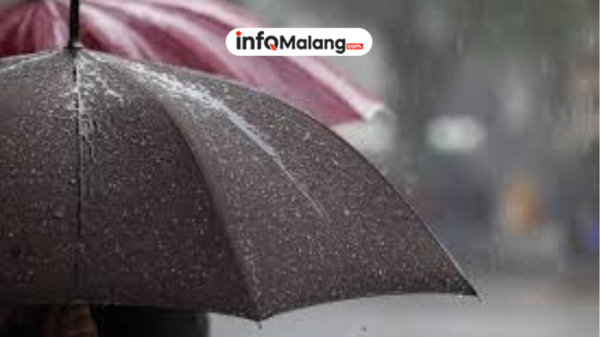 Senin 19 Januari 2026, Prakiraan Cuaca Malang–Batu Didominasi Hujan Ringan