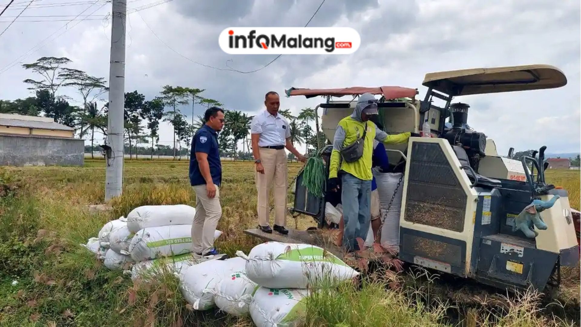 BULOG Percepat Serapan Gabah Petani di Malang Tahun 2026