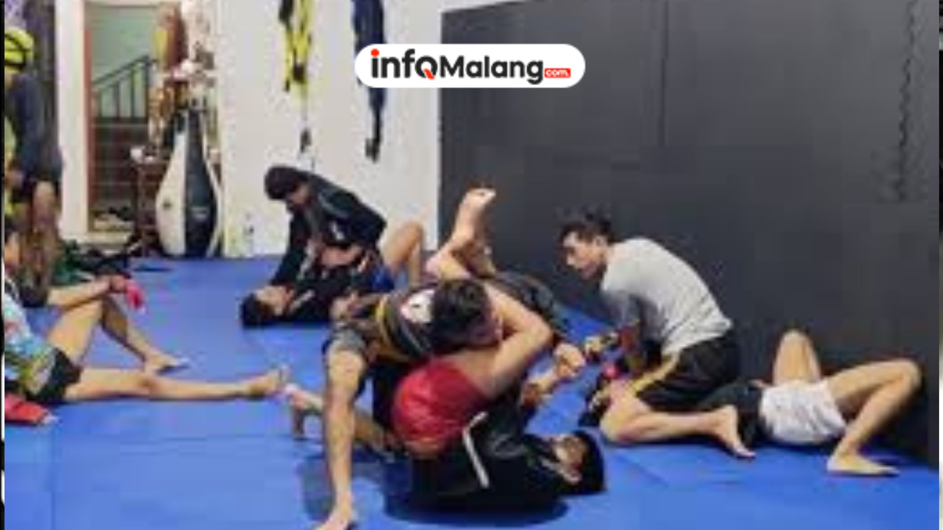 IBCA-MMA Kota Malang Siapkan 15 Atlet untuk Bersaing di Kejuaraan Provinsi