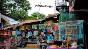 Revitalisasi Kawasan Splendid Dorong Pasar Bunga dan Wisata Air Lebih Menarik Tahun 2026