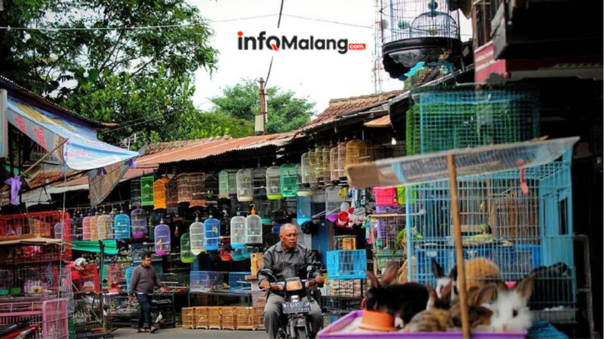 Revitalisasi Kawasan Splendid Dorong Pasar Bunga dan Wisata Air Lebih Menarik Tahun 2026