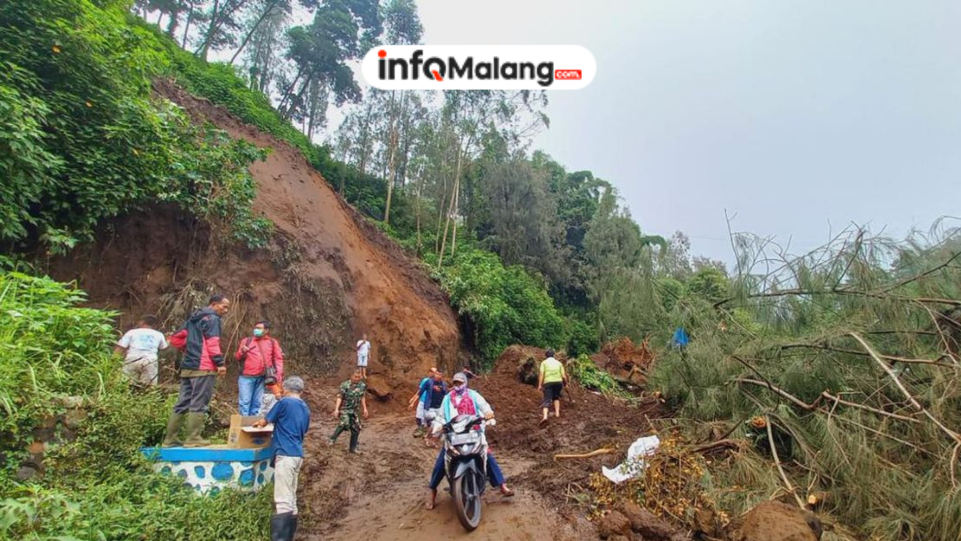 Jalur Menuju Bromo dari Malang Dilaporkan Tertutup Usai Longsor