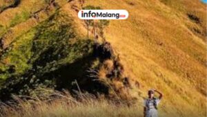 Bukit Lincing Destinasi Sunrise dan Pendakian Ringan yang Wajib Dikunjungi