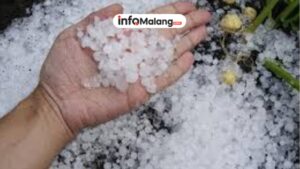 Dampak Hujan Es di Dua Kecamatan Jombang dan Imbauan Cuaca Ekstrem