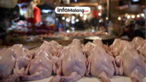 Viral Malang Hari Ini, Harga Ayam dan Beras Jadi Sorotan Jelang Ramadan