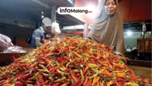 Viral Terbaru Harga Cabai Rp95 Ribu di Malang, Pemerintah Siapkan Langkah Konkret