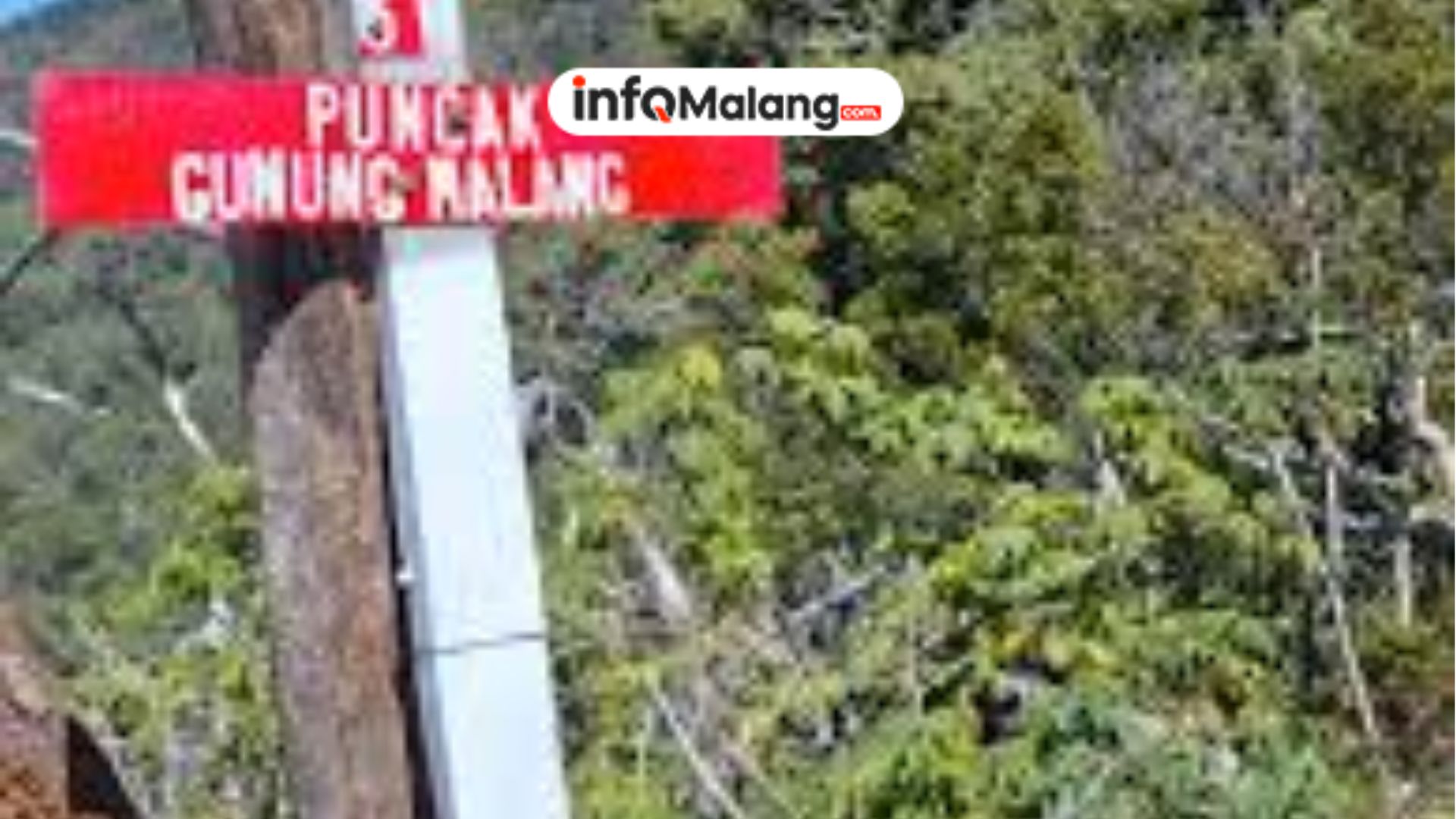 Gunung Malang Tempat Hiking Alam Asri Cocok untuk Pendaki Pemula