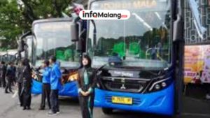 Angkutan Umum Malang: Bus TransJatim Diperluas di Malang Raya