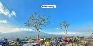 3 Rekomendasi Tempat Nyantai dengan Nuansa Alam di Malang