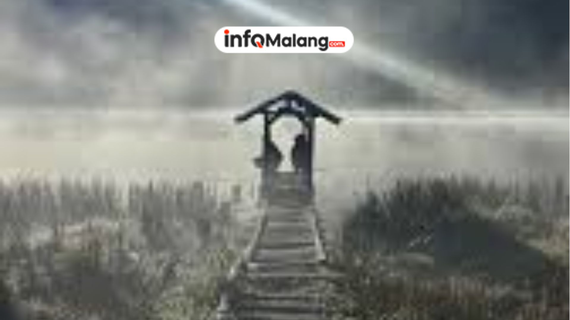 4 Hal Penting Sebelum Mendaki Gunung Argopuro yang Wajib Kamu Tahu