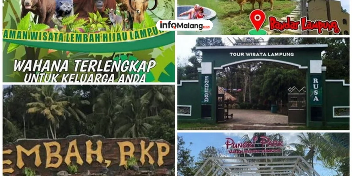 5 Wisata Edukasi & Rekreasi di Junrejo Batu untuk Liburan Keluarga Hemat