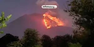 6,5 Hektare Hutan Gunung Geger Terbakar Akibat Putung Rokok di Malang