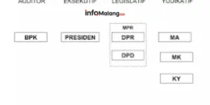 Anatomi Keputusan Eksekutif, Siapa yang Berhak Membuat, dan Bagaimana Peraturan Pemerintah Ditetapkan?
