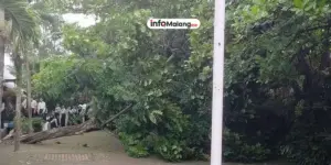 Angin Kencang Melanda Malang Raya, Pengendara Diminta Waspada