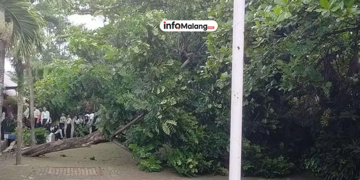 Angin Kencang Melanda Malang Raya, Pengendara Diminta Waspada