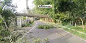 Angin Kencang Terjang Kabupaten Malang, Lima Pengendara Terluka