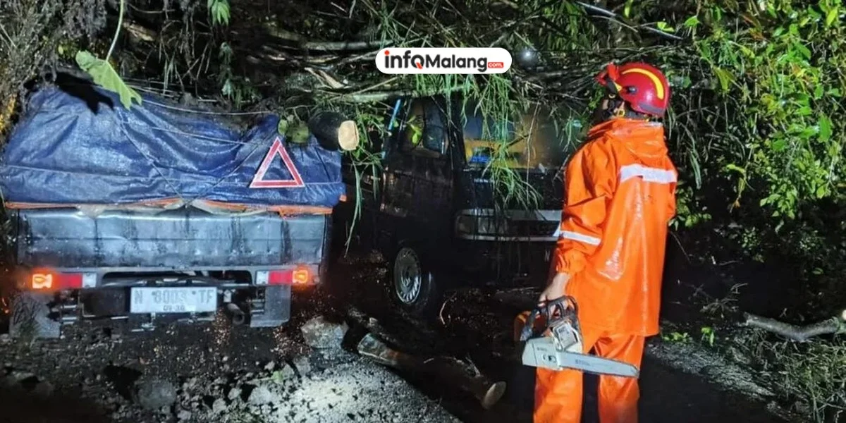 Angin Kencang Terjang Kota Batu, Pohon Tumbang Ganggu Akses Jalan