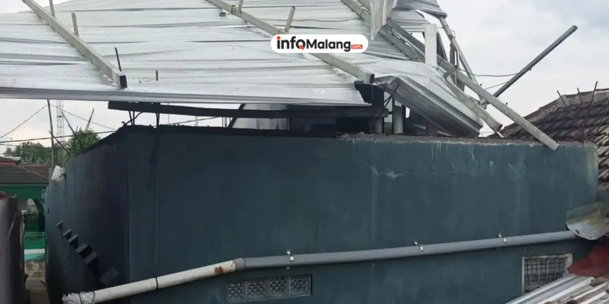 Angin Kencang di Kepanjen Tumbangkan Pohon Sonokembang, Mobil Feroza Tertimpa dan Akses Jalan Lumpuh Sementara