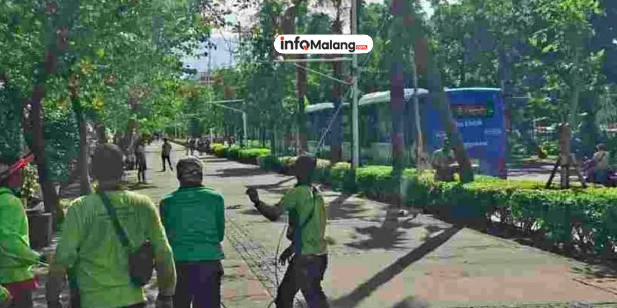 Antisipasi Pohon Tumbang di Kota Malang, DLH Tingkatkan Perawatan Intensif