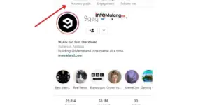 Apa Itu PP Endorse dan Bagaimana Cara Kerjanya?