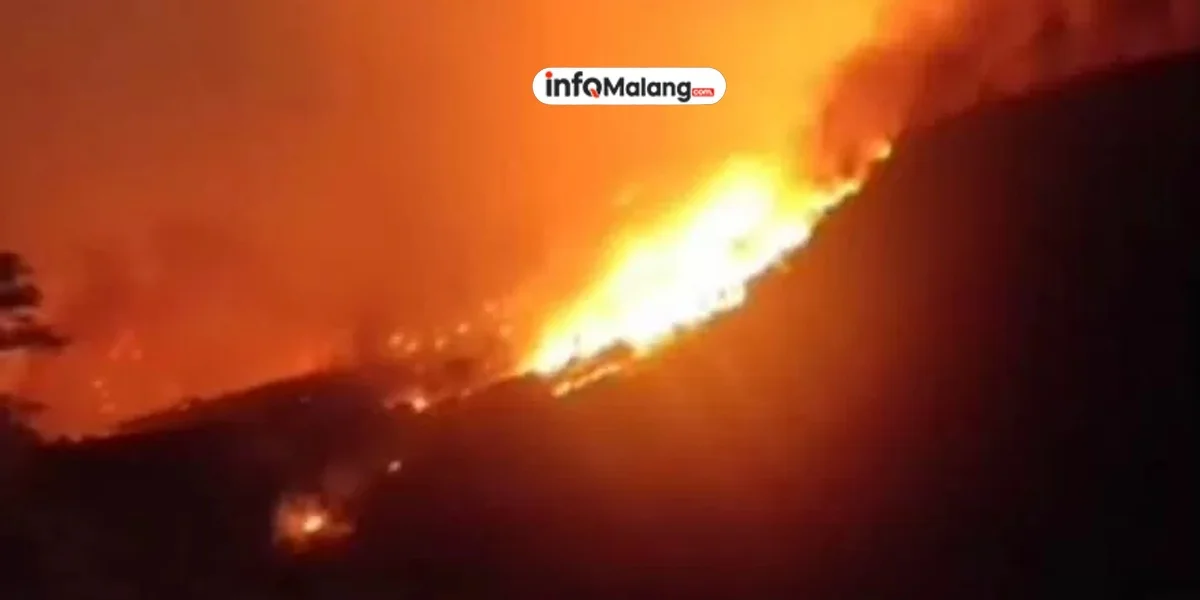 Api Membara Dua Hari di Lahan Bambu Tegalgondo, Warga Karangploso Cemas