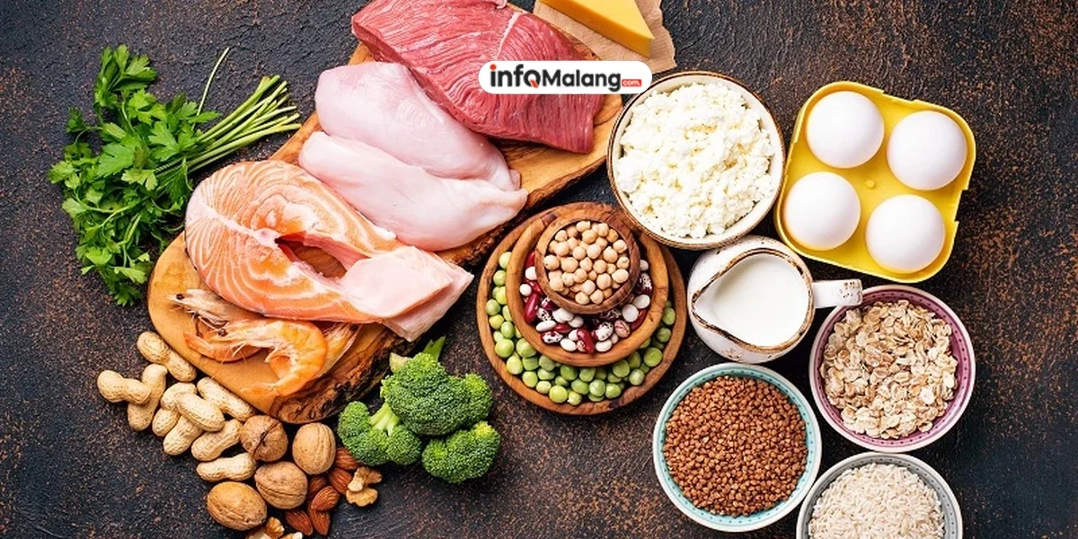 Asupan Protein untuk Pembentukan Otot yang Optimal