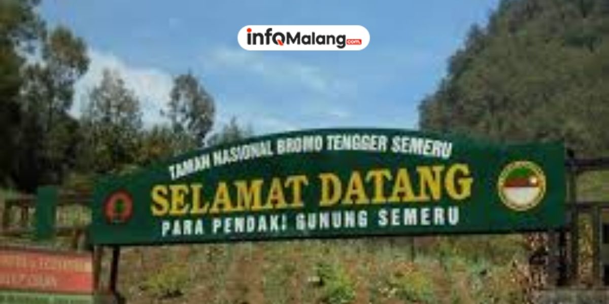 BBTN Bromo Tengger Semeru Umumkan Penutupan Total Pendakian Gunung Semeru