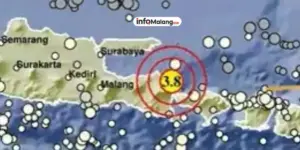 BMKG Catat Gempa Jawa Timur Hari Ini Getaran Dirasakan Hingga Banyuwangi Malang dan Bali
