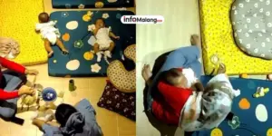 BPBD Kabupaten Malang Catat 319 Kejadian Bencana Sepanjang Januari-September 2025