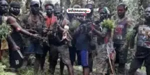 Baku Tembak di Papua, Militer Indonesia Klaim 14 Anggota Separatis Tewas