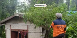 Bambu Kuning Roboh, Rumah Warga Pujon Rusak Diterjang Angin Kencang