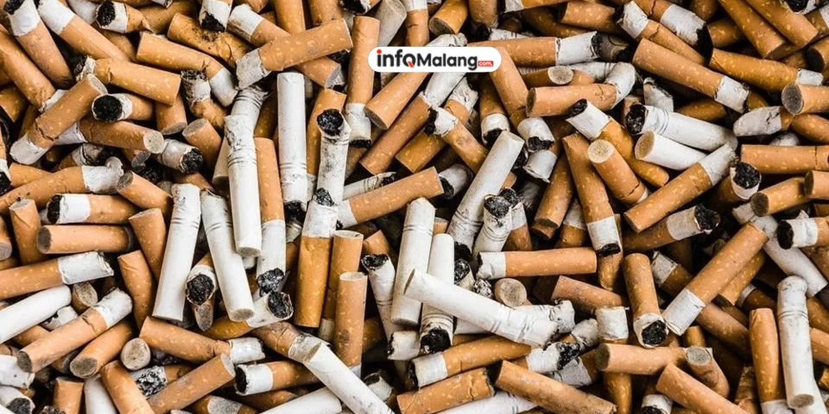 Bea Cukai Malang Sita 18,2 Juta Batang Rokok Ilegal Senilai Rp27,1 Miliar